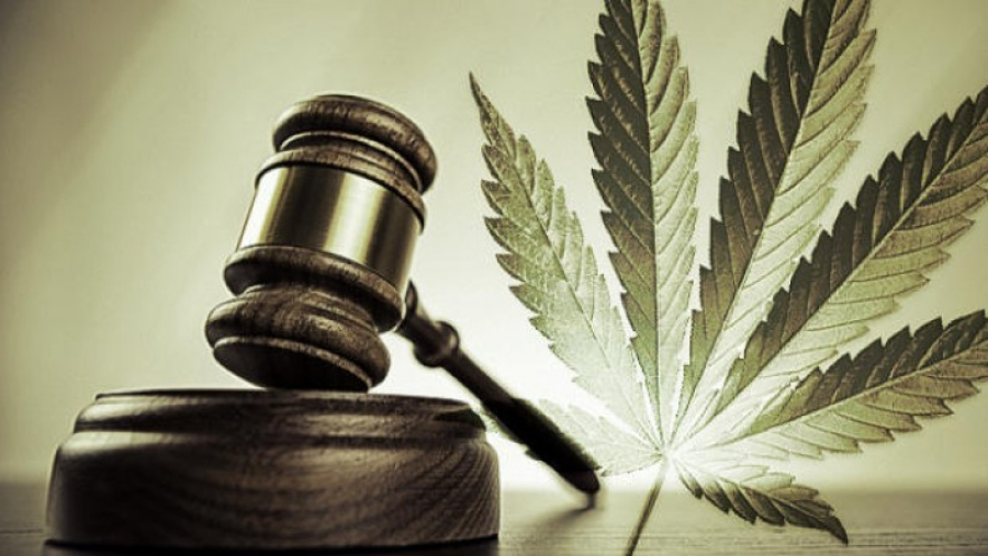 Maioria das decisões contra planos de saúde beneficia pacientes, mas pedidos de CBD enfrentam resistência