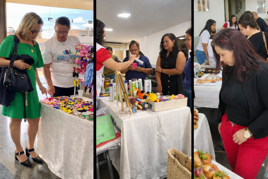 Público aprova a primeira feira da Rede na Câmara Municipal de Porto Velho