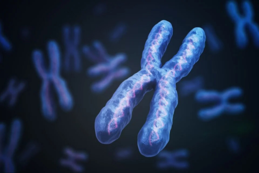Cientistas avançam em possível tratamento para síndrome de Down